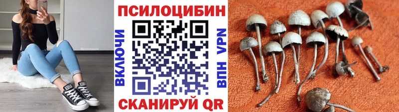 Псилоцибиновые грибы Psilocybe  Серафимович 